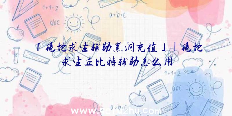 「绝地求生辅助黑洞充值」|绝地求生丘比特辅助怎么用